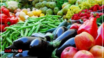 تحديثات عاجلة.. أسعار الخضروات والفاكهة في سوق العبور اليوم الاثنين 8 سبتمبر 2025 تخالف كل التوقعات مفاجأة في قائمة التسوق 1